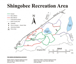 shingobee ski map
