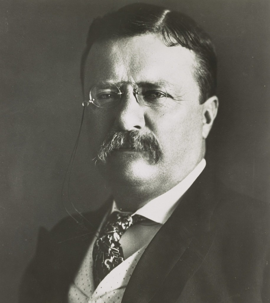 head shot of Theodore Roosevelt