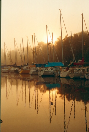 Harbor with boats Leech Lake